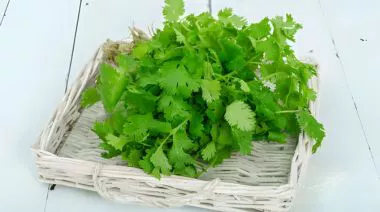 garnishing-instructions-image